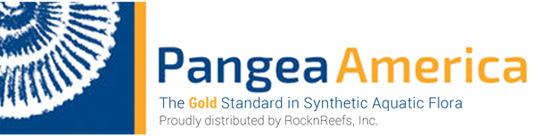 Pangea America