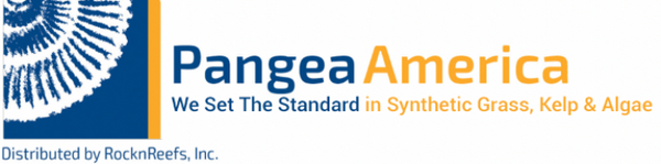 Pangea America