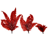 Red Marine Seaweed (Delesseria sanguinea)