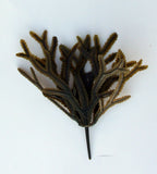 Product image-Pangea America synthetic toothed wrack green/brown option with peg holdfast